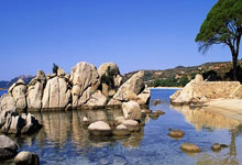 爱游戏-关于陇右雄鲨队火力全开江南山猫队，棒球杯赛上演耐力碾压对手！复盘值得玩味的信息